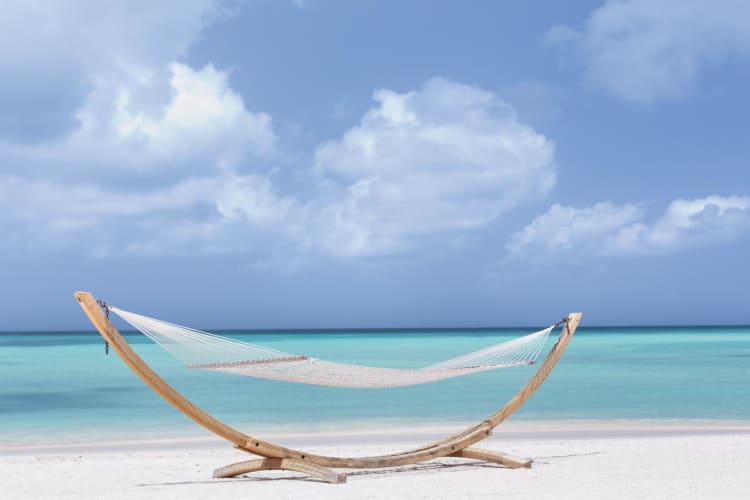 Beach hammock